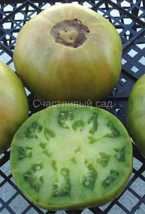 Jackass Green Dwarf (Гном Зеленый осел) Jackass Green Dwarf (Гном Зеленый осел)