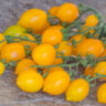 Piennolo Giallo Del Vesuvio (Пенноло Дель Везувио желтые)
