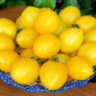 Piennolo Giallo Del Vesuvio (Пенноло Дель Везувио желтые)