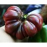 Purple Calabash (Пурпурный Калабаш) Purple Calabash (Пурпурный Калабаш)