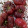 Purple Calabash (Пурпурный Калабаш) Purple Calabash (Пурпурный Калабаш)