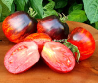 Gargamella Picasso Striped (Гаргамелла Пикассо Полосатый)