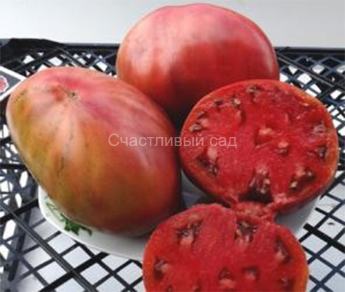 Cherokee Purple Heart (Пурпурное сердце Чероки)
