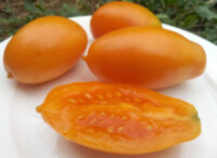 Wick’s Orange Paste (Апельсиновая паста Вика)