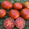 Cherokee Purple (Чероки Пурпурный) Cherokee Purple (Чероки Пурпурный)