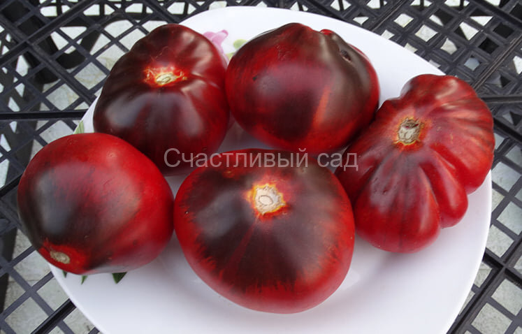 Синяя Груша (Blue Pear)