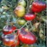 Синяя Груша (Blue Pear)