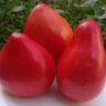 Cuore de Toro (Сердце быка, Бычье сердце)