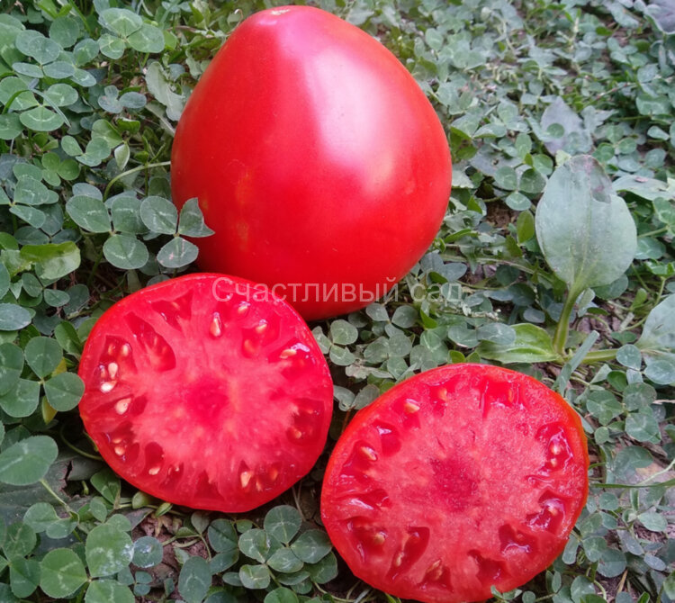 Красное масляное сердце (Red Butter Heart)