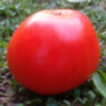 Красное масляное сердце (Red Butter Heart)