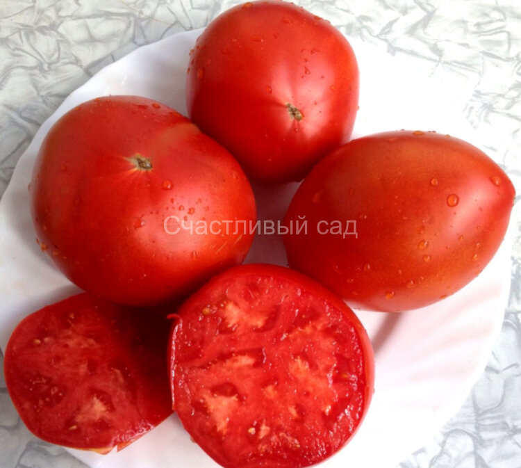 Joe’s Plum (Слива Джо)