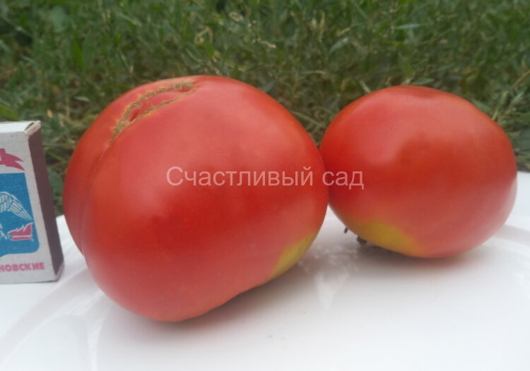 Минусинские лапти округлые
