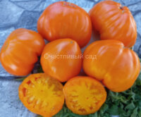 Золотой гребень (Cresta di Oro)