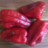 Перец Черный конь