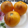Golden Tiger (Золотой тигр)