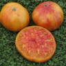 Розелла (Rozella)
