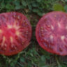 Abracazebra (Абраказебра) Abracazebra (Абраказебра)