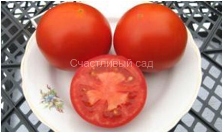 Сваты