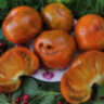 Улыбка Сандры