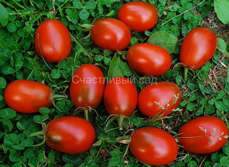 Шоколадный зайчик
