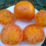 Big Orange Cool Ridge (Большой оранжевый хребет)