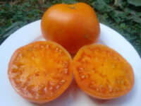 Big Orange Cool Ridge (Большой оранжевый хребет)