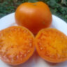Big Orange Cool Ridge (Большой оранжевый хребет)