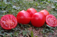 Смелянский Рудаса