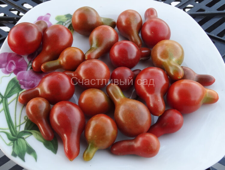 Cafe Bule (Кафе Буле) Cafe Bule (Кафе Буле)